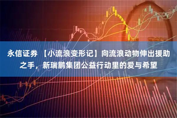 永信证券 【小流浪变形记】向流浪动物伸出援助之手，新瑞鹏集团公益行动里的爱与希望