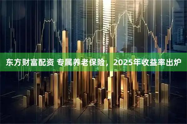 东方财富配资 专属养老保险，2025年收益率出炉