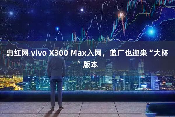 惠红网 vivo X300 Max入网，蓝厂也迎来“大杯”版本